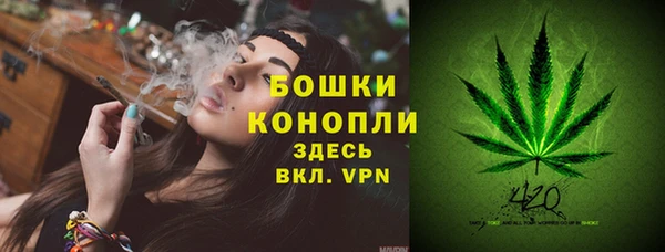 стафф Верея