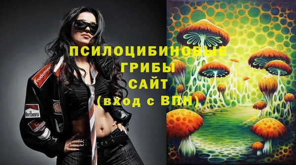 гашик Бугульма