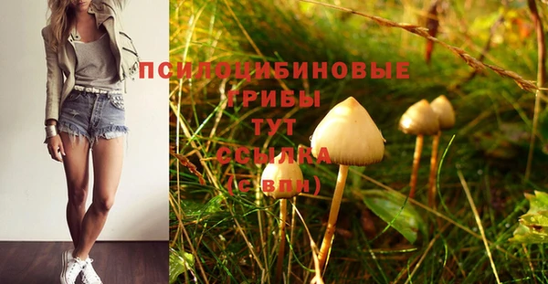 стафф Верея