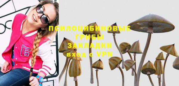 соль ск Бронницы