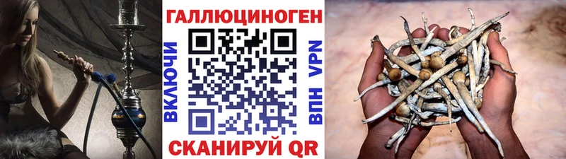 Псилоцибиновые грибы прущие грибы  Искитим 