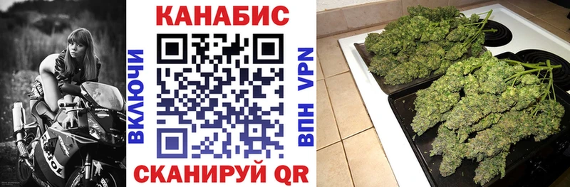 Конопля SATIVA & INDICA  Искитим 